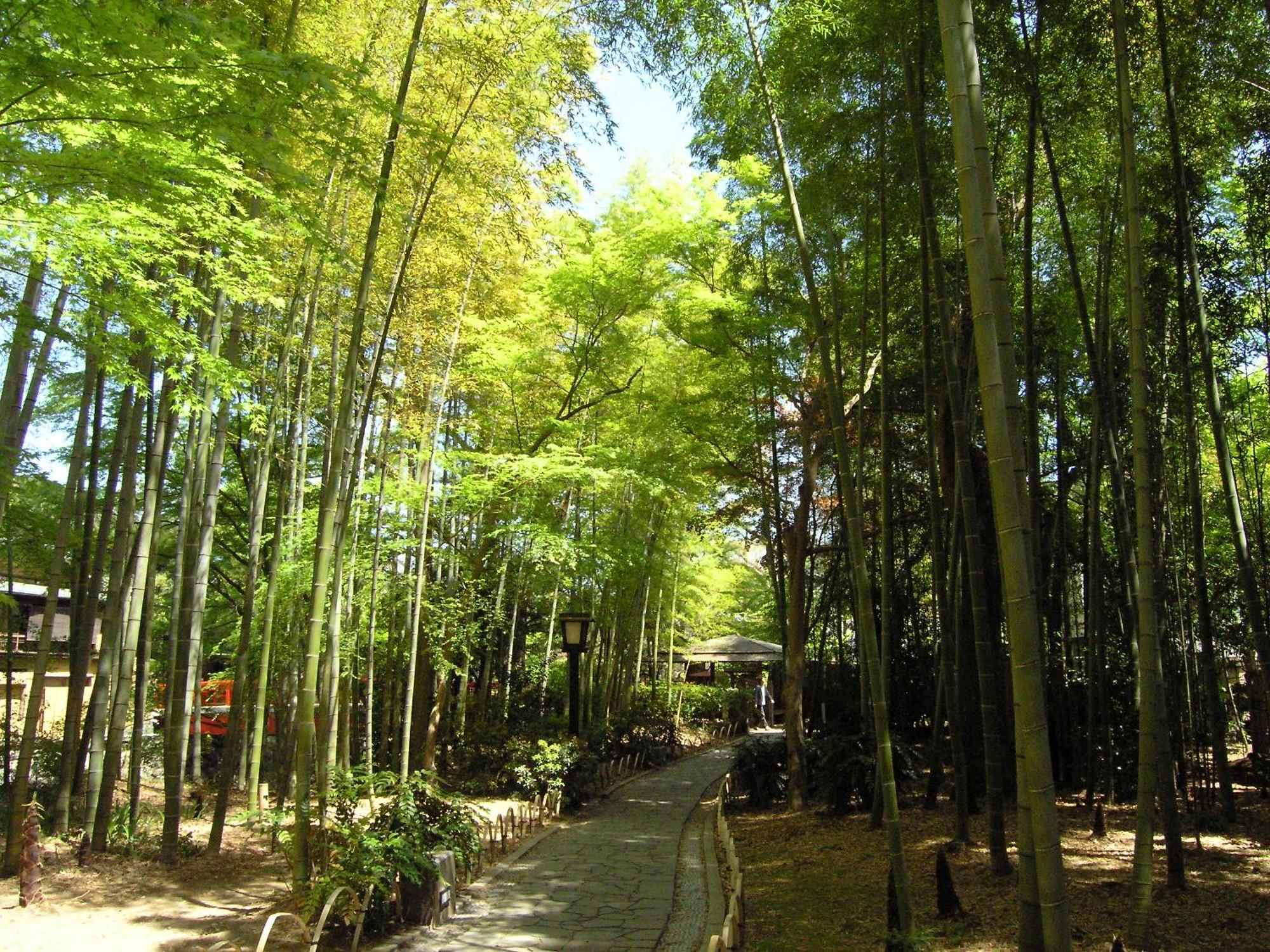 Izu Marriott Hotel Shuzenji Exterior photo