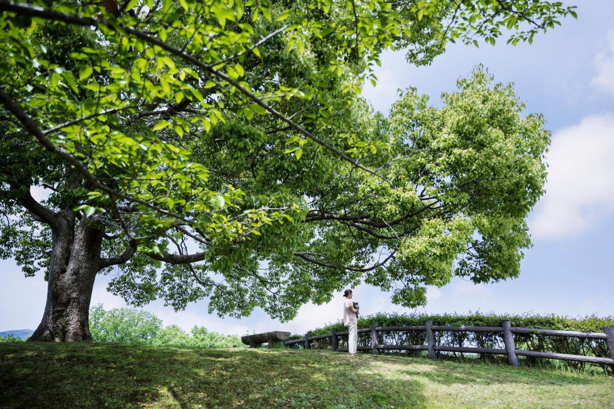 Izu Marriott Hotel Shuzenji Exterior photo